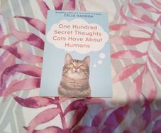 hundred secret thoughts cats have about humans  NEW