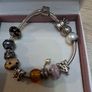 Pandora Bracelets (2) Image 3