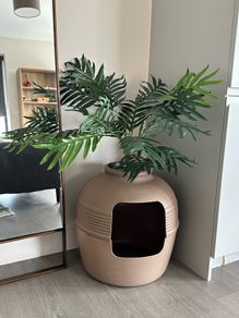 Cat Litter Box