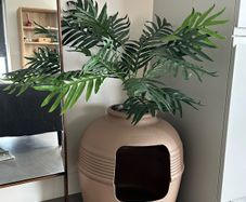 Cat Litter Box