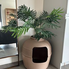 Cat Litter Box