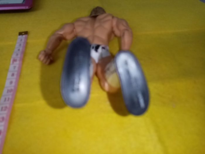 Wrestlers WWE action Figure