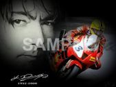 Joey Dunlop Poster Print Tribute Honda SP1 NEW