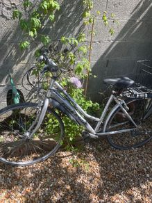 Ladies bike