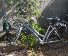 Ladies bike