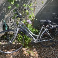 Ladies bike
