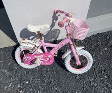 free kids bike