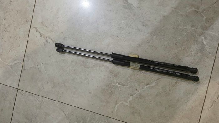Genuine Hyundai Ioniq 5 Front Hood Lift Supports / Gas Struts Pair OEM 81161-GI000