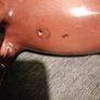 porcelain horse Image 5