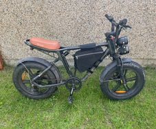 Engwe M20 Electric Bike
