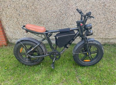 Engwe M20 Electric Bike