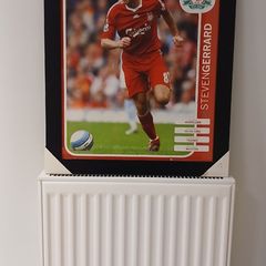 Steven Gerrard  Liverpool F.C. Framed Picture