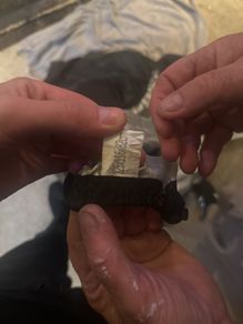 garden cover