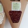 Carolyn Donnelly Christmas Stars and LIVARNO LED Star Lantern Lot Image 5