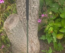 Craigton Scotland Classic IV Golf putter