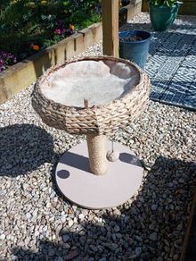 Cat bed and scratcher