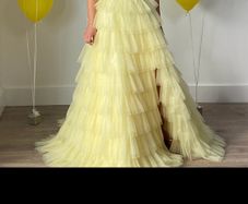 Dani's closet debs dress