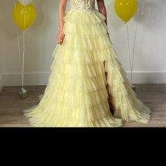 Dani's closet debs dress