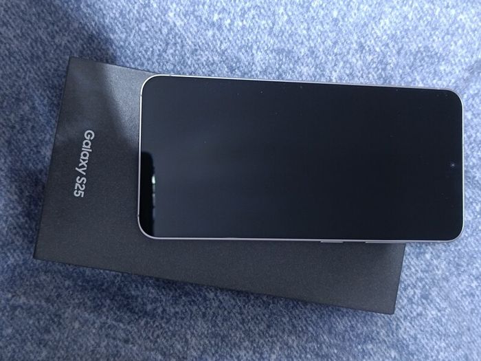 Samsung Galaxy S25