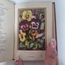 language of poetry of flowers antique book Image 4