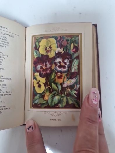 language of poetry of flowers antique book