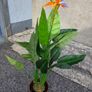 Artifical Image 5