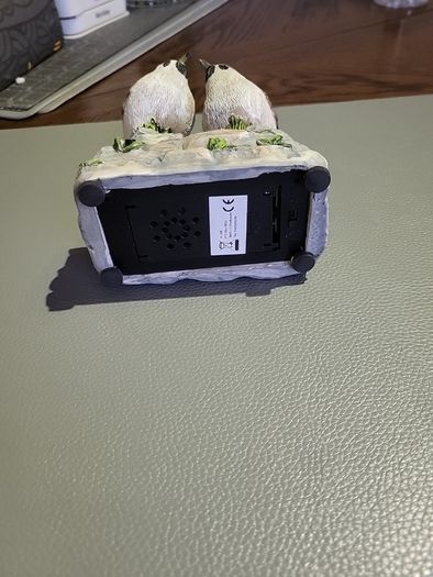 Bird ornament