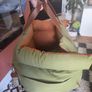 Brand new dog car seat Image 4