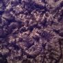 As New!! 1950s Vintage Wool Winter Astrakhan Swing Coat Image 5