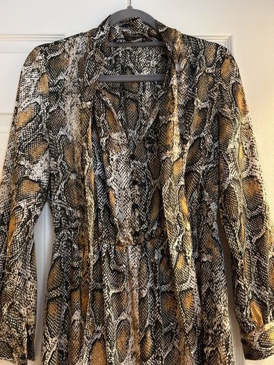 Zara snake skin dress