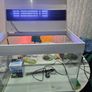Fish tank Image 2