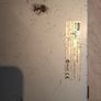 Korg AX1500G guitar pedal board Image 3