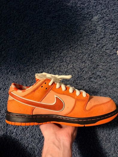 Nike SB Orange lobster