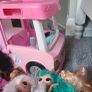 Barbie bundle Image 3