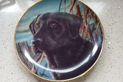 porcelain plate