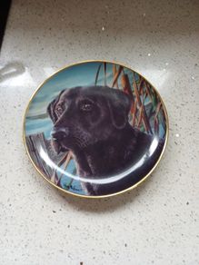 porcelain plate