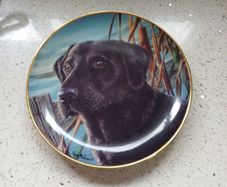 porcelain plate