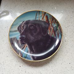 porcelain plate