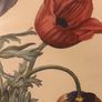 Vintage Anemone Botanical Print Framed - Nederlandsch Bloemwerk Cottagecore Art 12x15 inches Image 6
