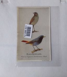 Vintage Caperns Bird food Advertising Card - Black Redstarts