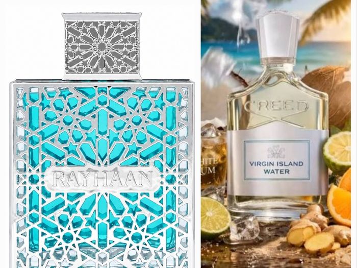 Arabian Scent Revolutions The Best Of The Best