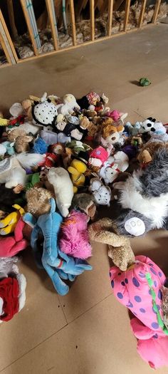 Soft Toys Open to Offers