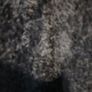 mans jacket Image 4