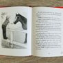 Our Generation Horse Riding Doll - Lily Anna & Horse - Love Horseriding Image 4