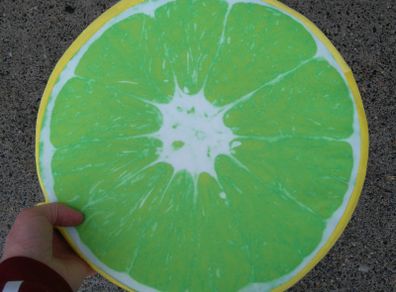 Round Flat Lemon Cushion (brand New).