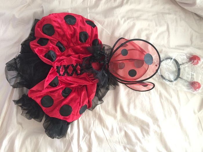 Brand New Ladybird Costume age 2