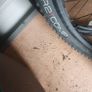 Trek marlin  5 xl frame Image 5
