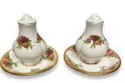 Royal Albert Salt and Pepper