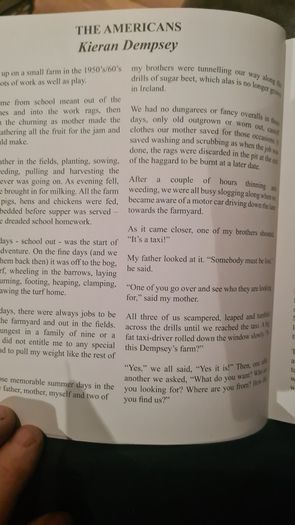How We Survived And Suprised. A Collection Of Writing By Polio Survivers In Ireland. Large Volume Book In Very Good Condition.