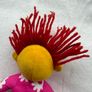 Official Fizz Doll from The Tweenies Vintage TV Show Character Soft acout 25 cm Used Please look at the pictures Image 9